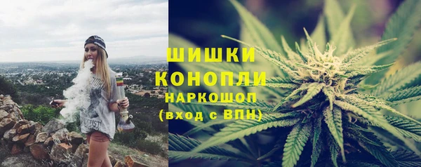 гидропоника Горно-Алтайск