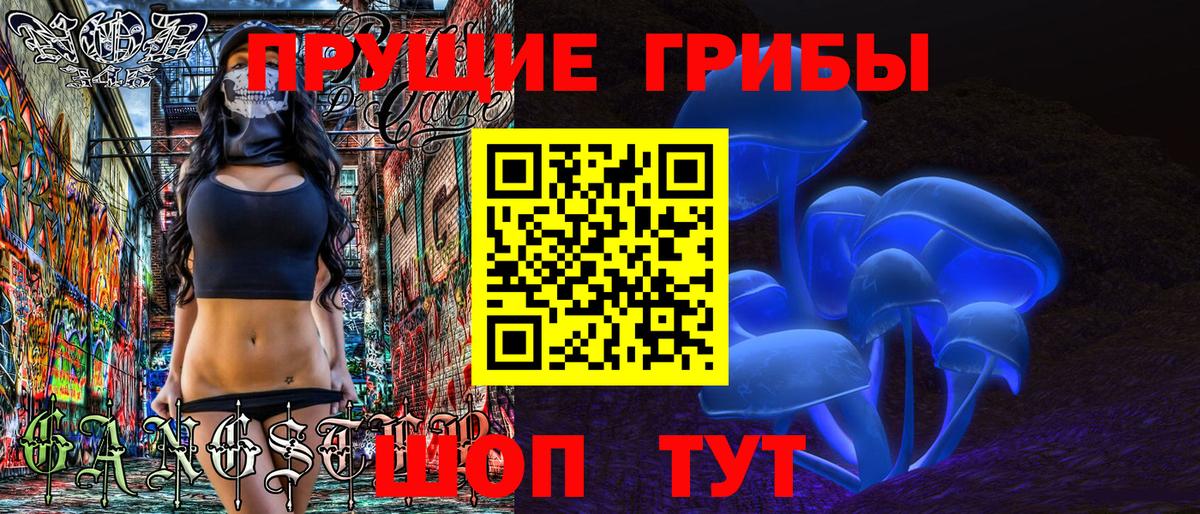Галлюциногенные грибы GOLDEN TEACHER  Вход с VPN  Дедовск 