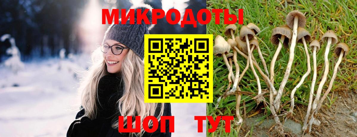 Псилоцибиновые грибы MAGIC MUSHROOMS Дедовск