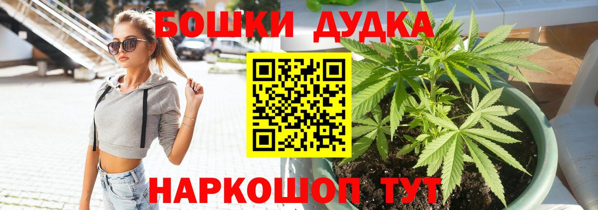 Бошки Шишки White Widow  Каннабис план  Дедовск  Конопля конопля  Вход с VPN  Марихуана OG Kush 